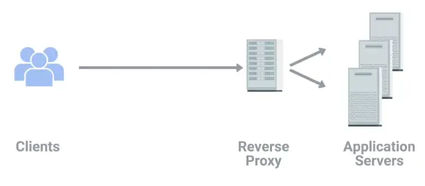 Reverse Proxy