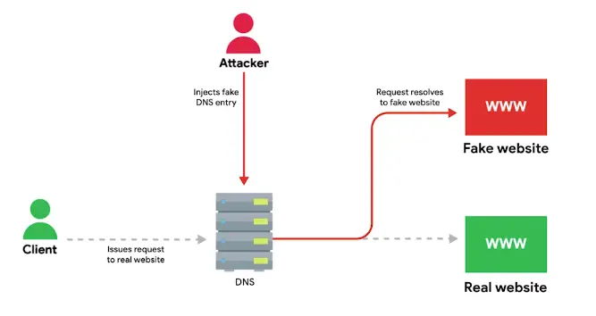 DNS Hi-jacking